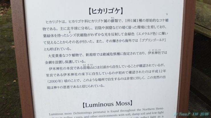 DSCF2111.jpg