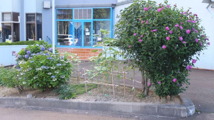 DSCF2099.jpg